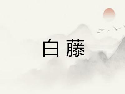 白藤