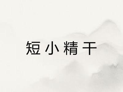 短小精干