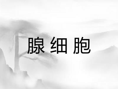 腺细胞