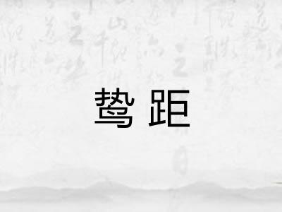 鸷距