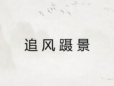 追风蹑景