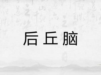后丘脑