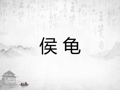 侯龟