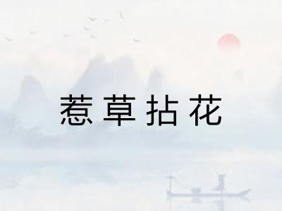 惹草拈花