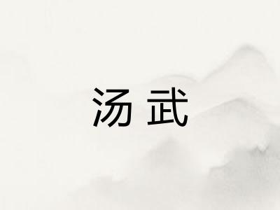 汤武