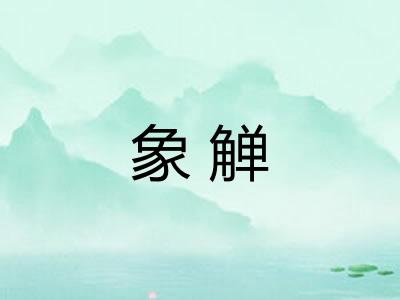 象觯