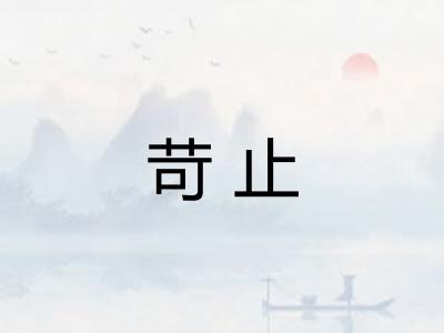 苛止