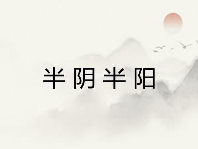 半阴半阳