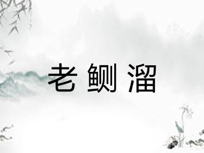 老鲗溜
