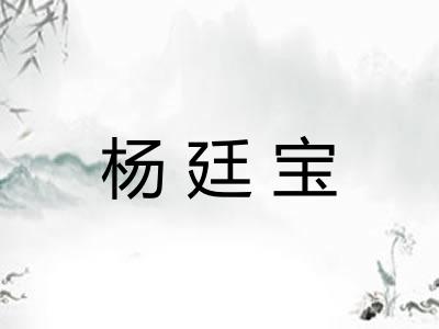 杨廷宝