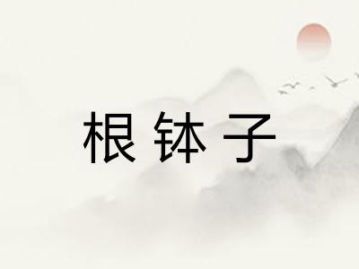 根钵子