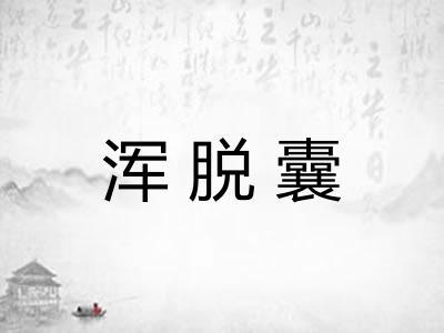 浑脱囊