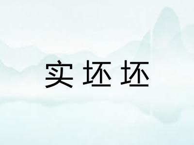 实坯坯
