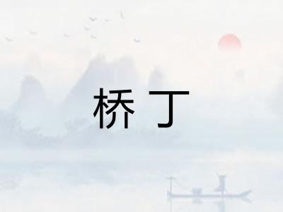 桥丁