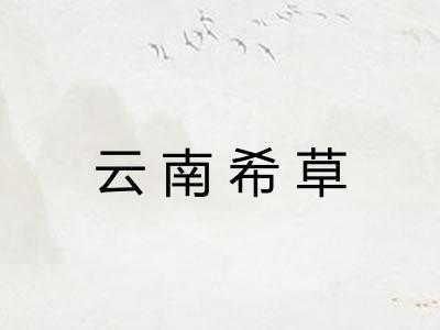 云南希草