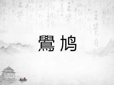 鷽鸠