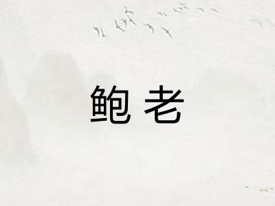 鲍老