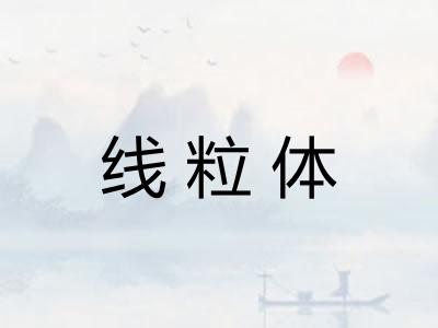 线粒体
