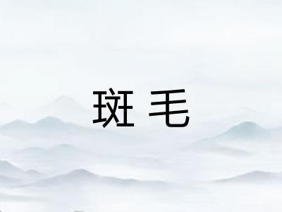 斑毛