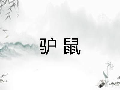 驴鼠