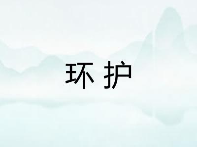 环护