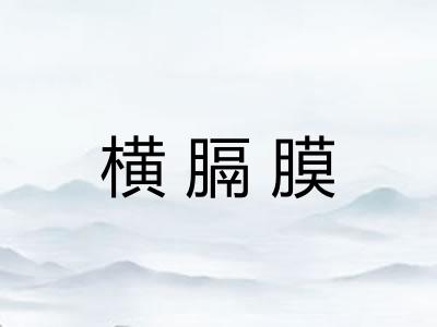 横膈膜