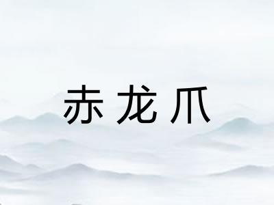 赤龙爪