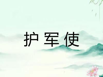 护军使