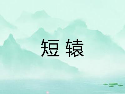 短辕