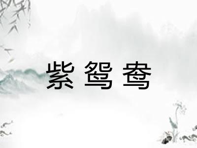 紫鸳鸯
