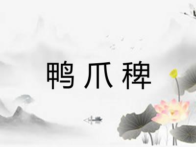 鸭爪稗