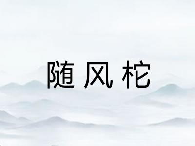 随风柁