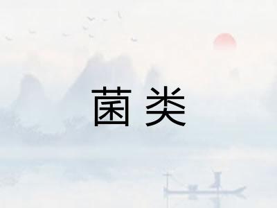菌类