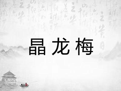 晶龙梅