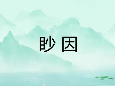 眇因