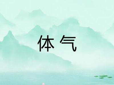 体气