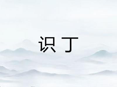 识丁
