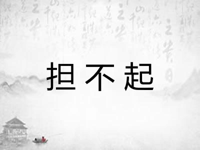 担不起