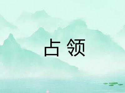 占领