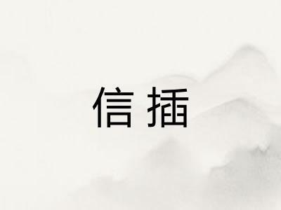 信插