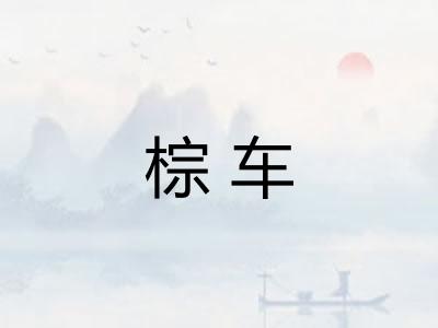 棕车