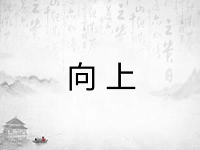 向上