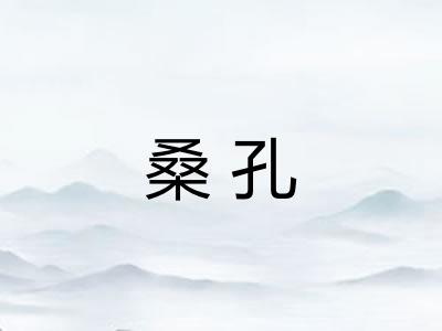 桑孔