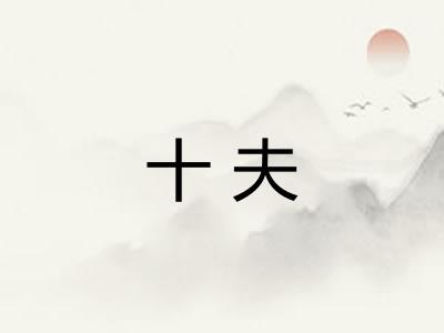 十夫