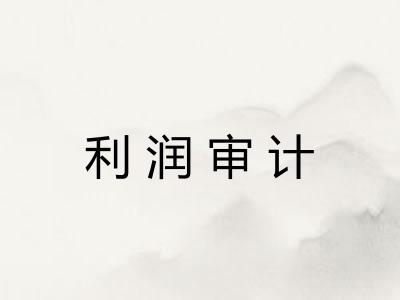 利润审计