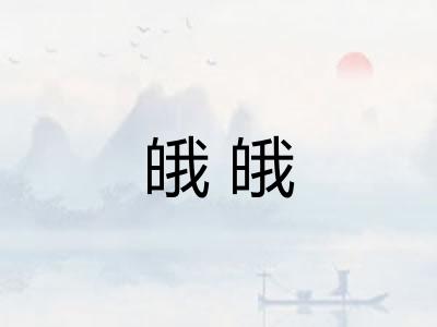皒皒
