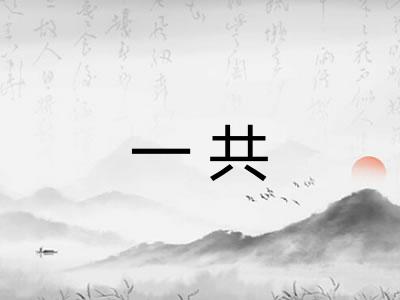 一共