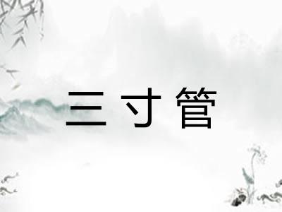 三寸管
