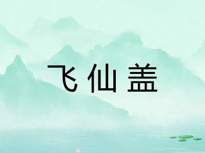 飞仙盖