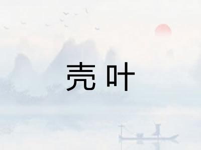 壳叶